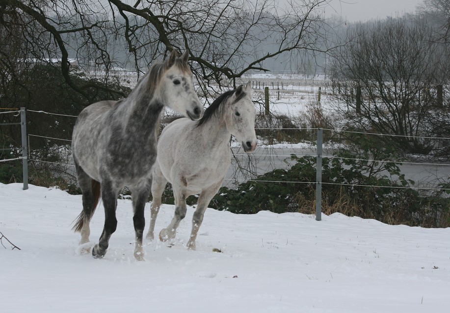 rennen im Schnee